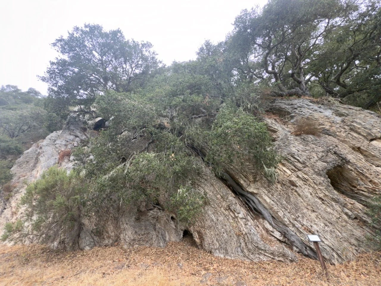  Spaces 2025:2 (2025) C-print on wood panel, 60”x40” 