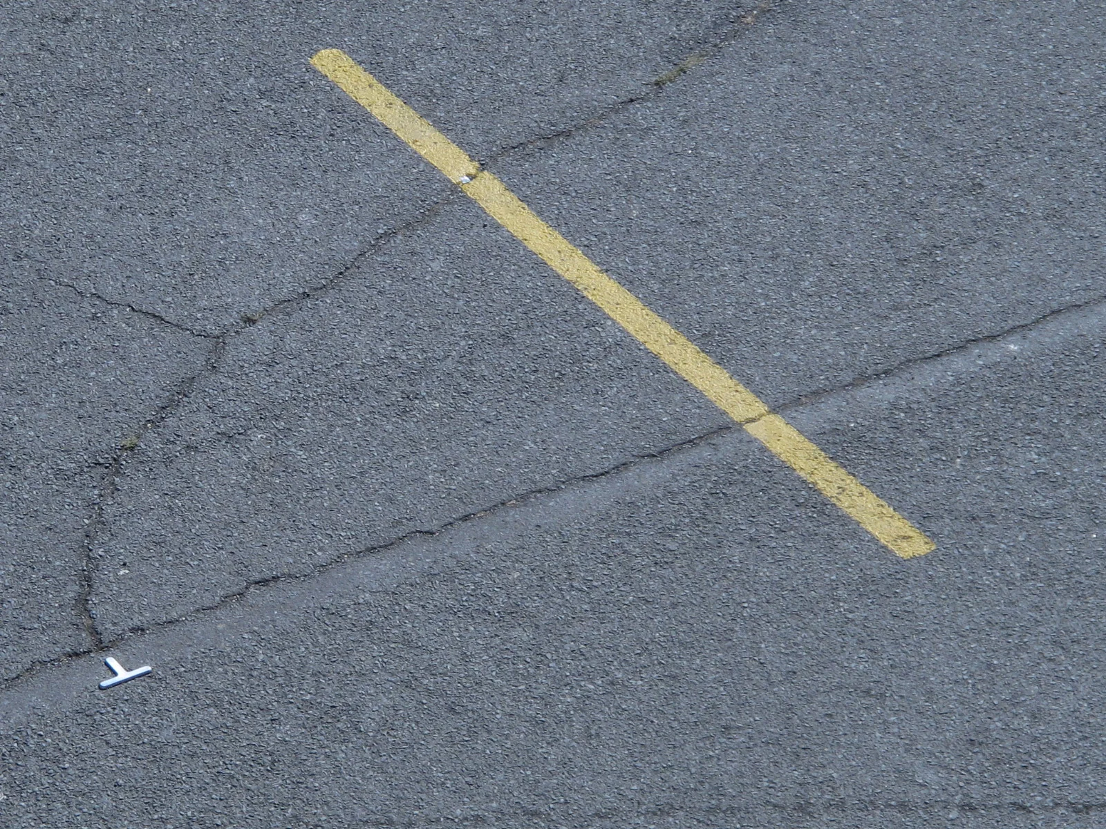 t-y2.jpg