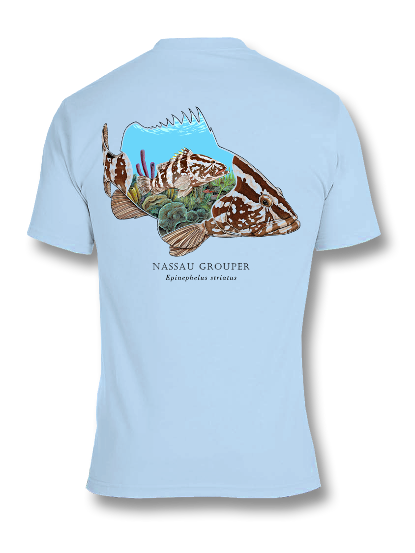 Back SS_Nassau Grouper.png