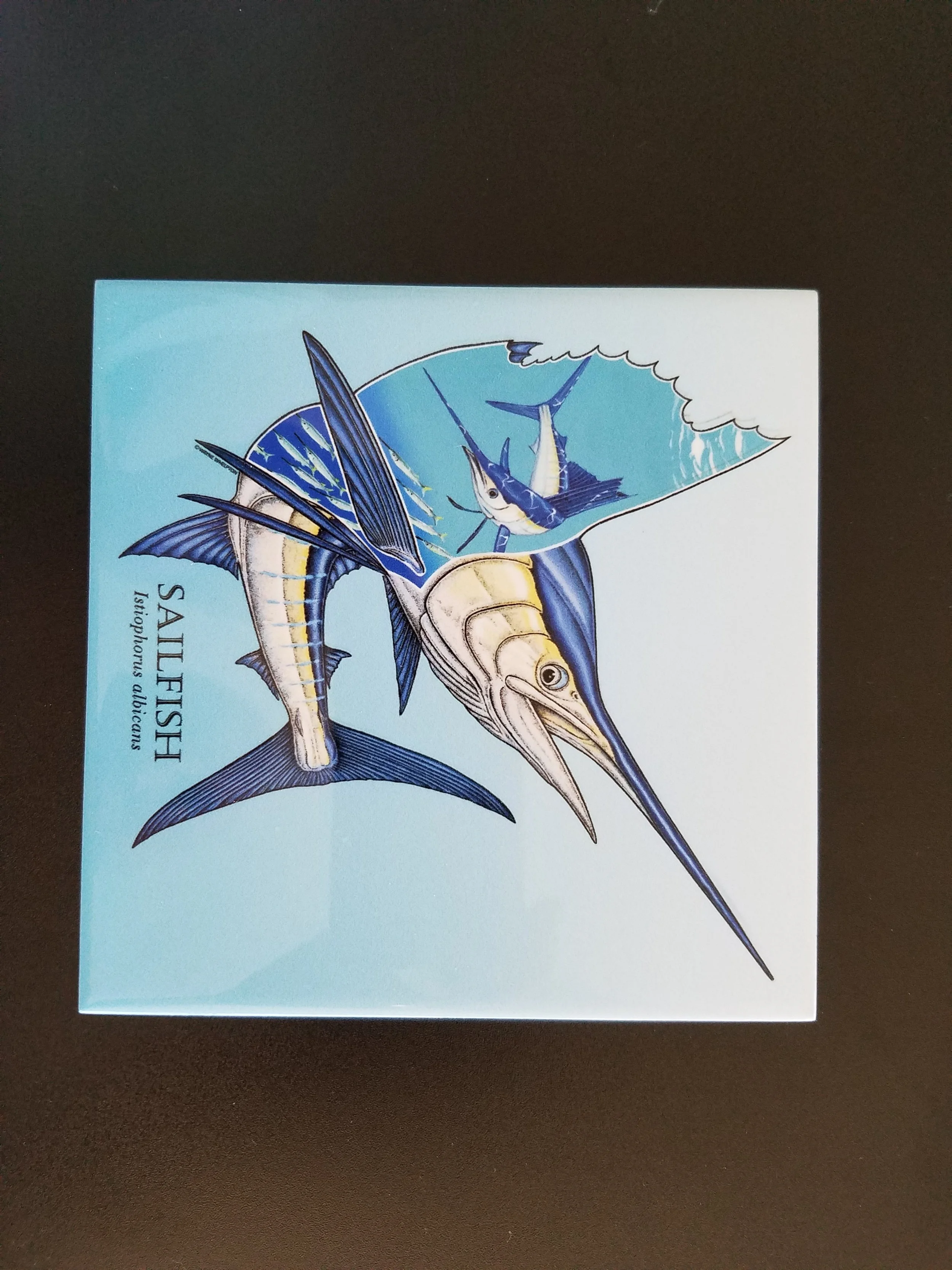 6" x 6" Printed Tile