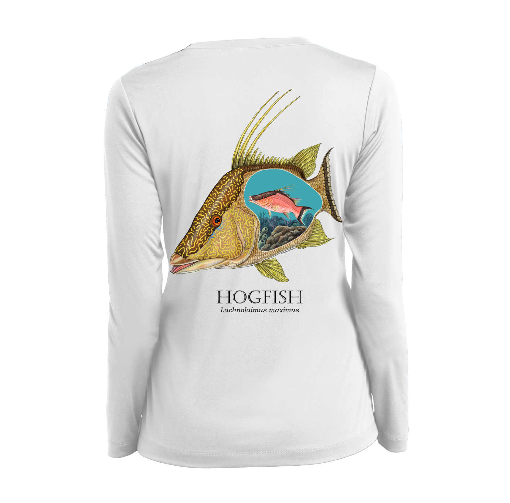 Ladies Long Sleeve 