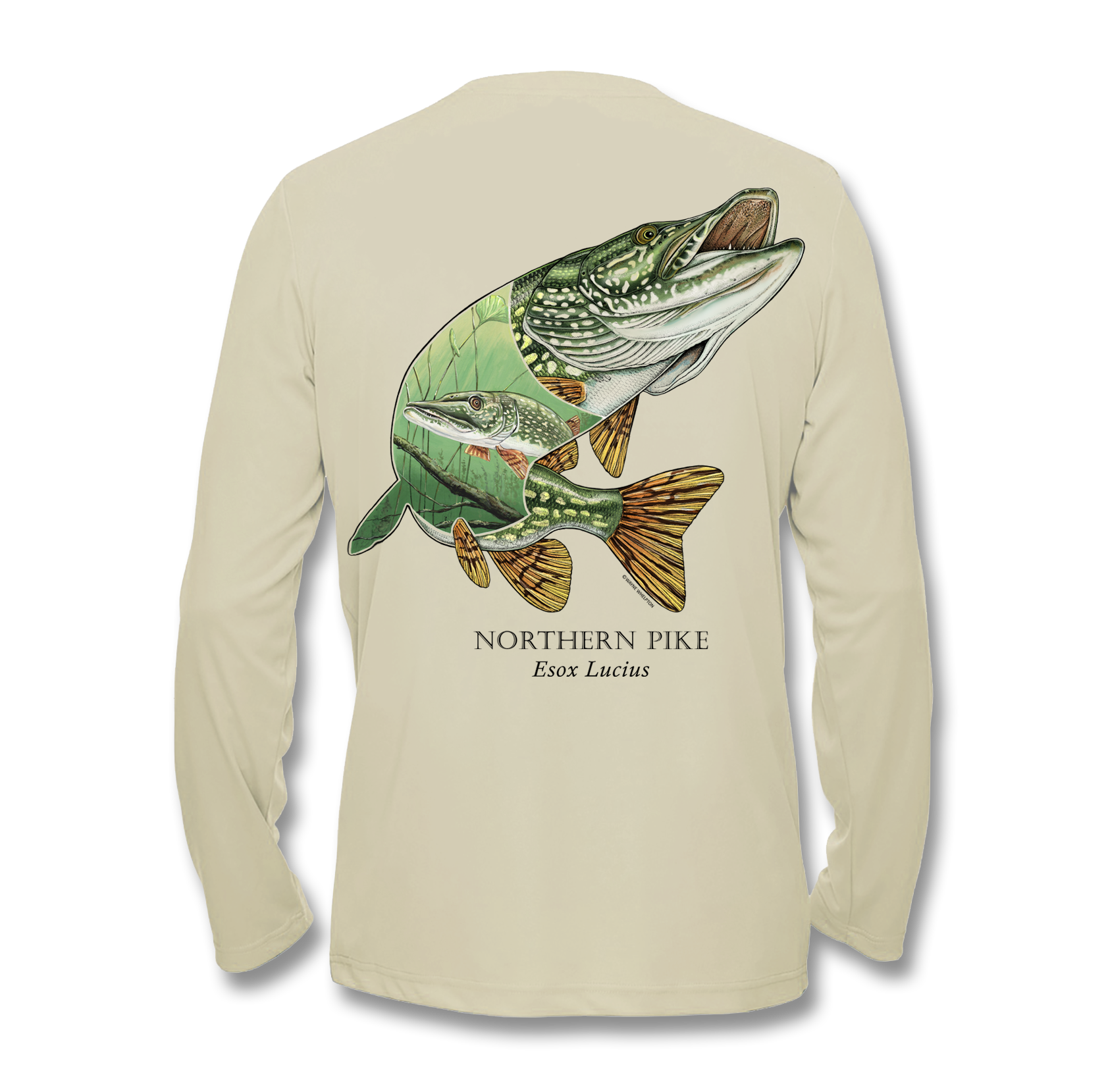 Northern Pike