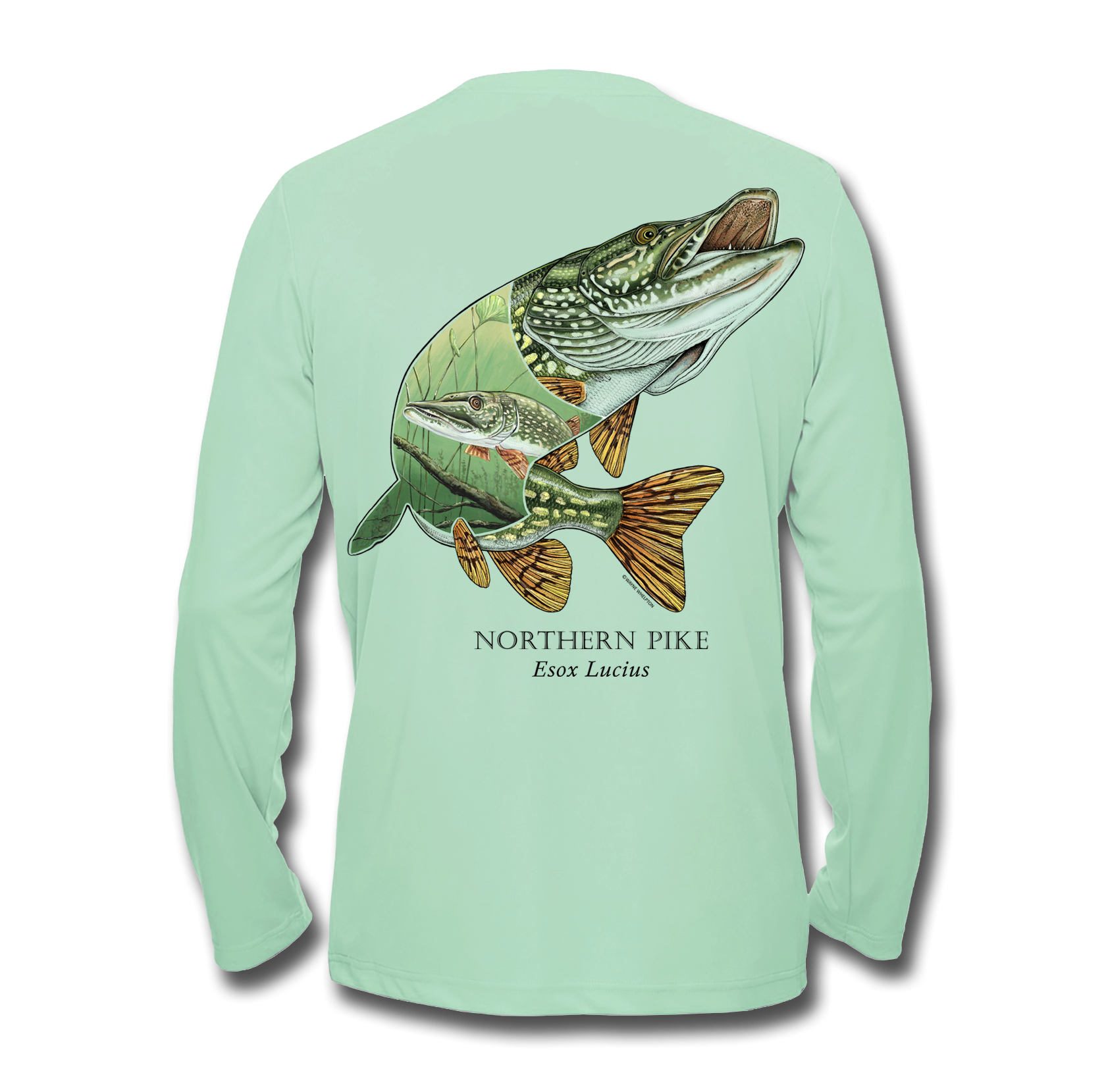 Pike  SHIRT BACK_mint.png