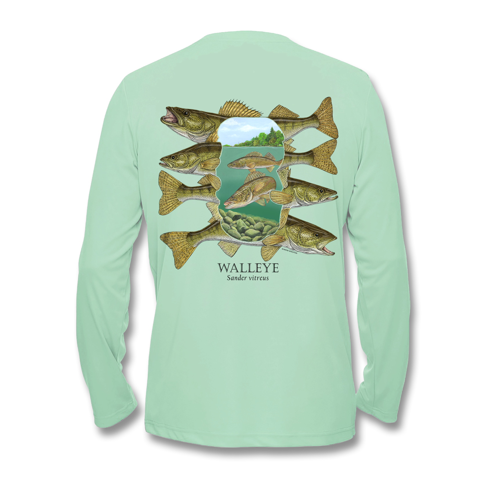Walleye