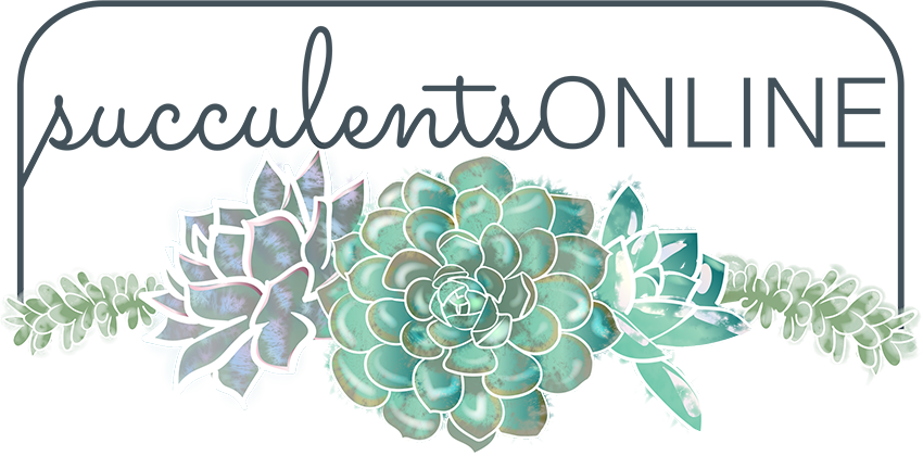 Succulents Online