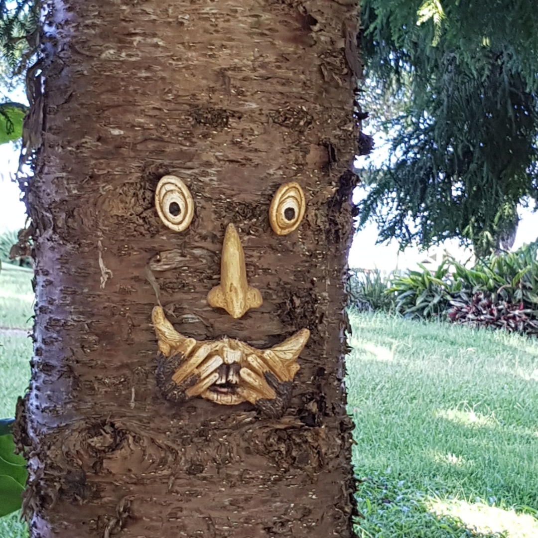 Shocked tree face.jpeg