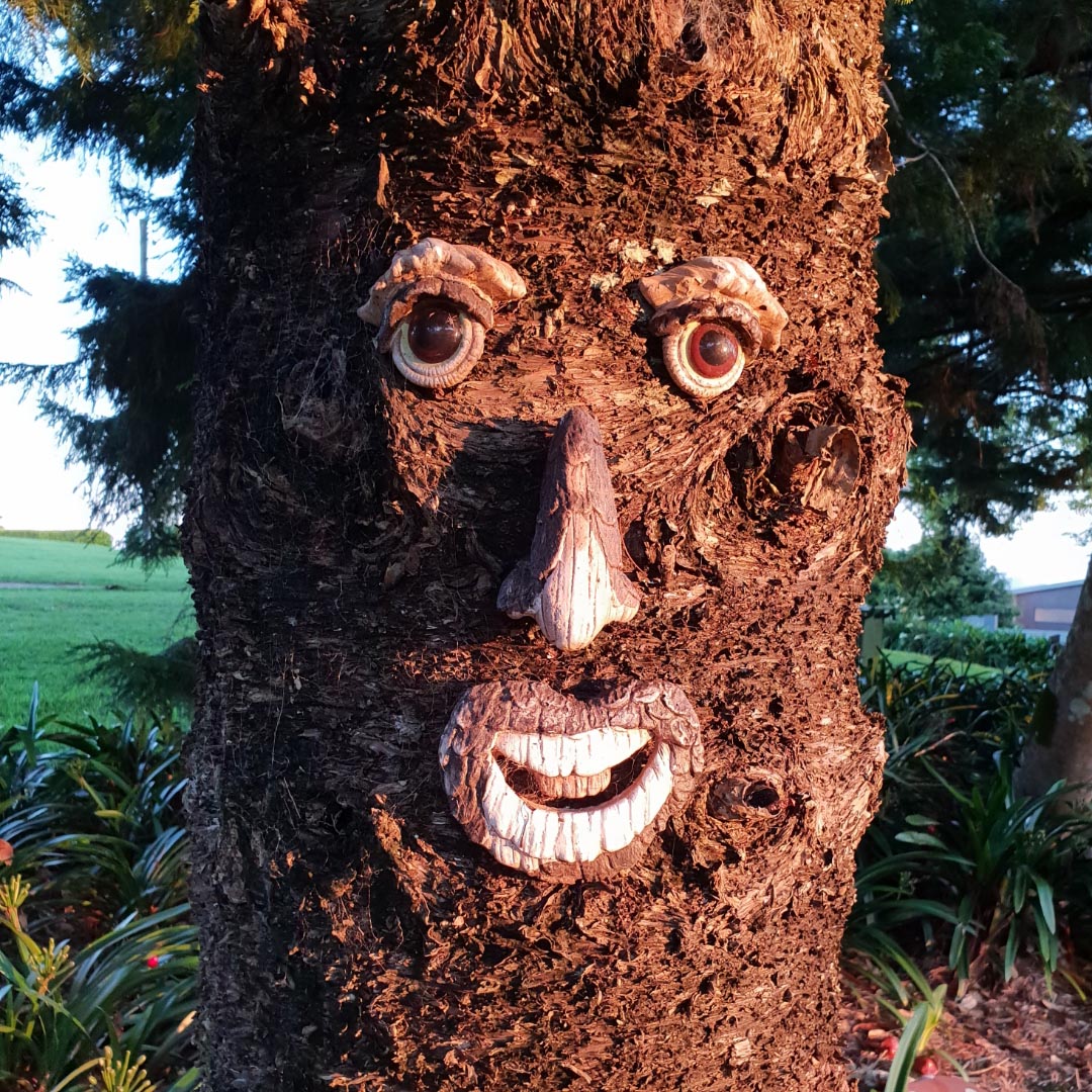 Happy treeface.jpeg