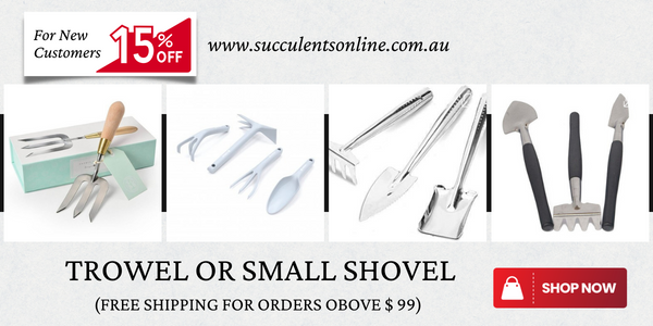 Trowel OR Small Shovel