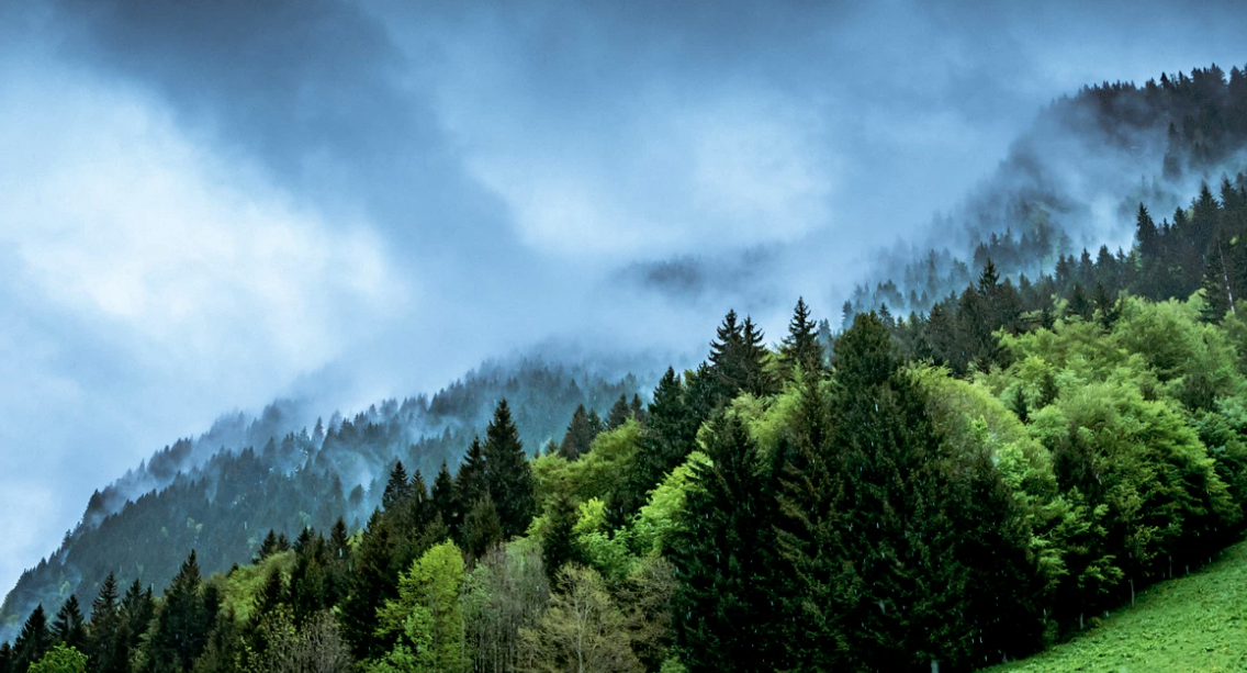 Imagine the energy that formed mountains