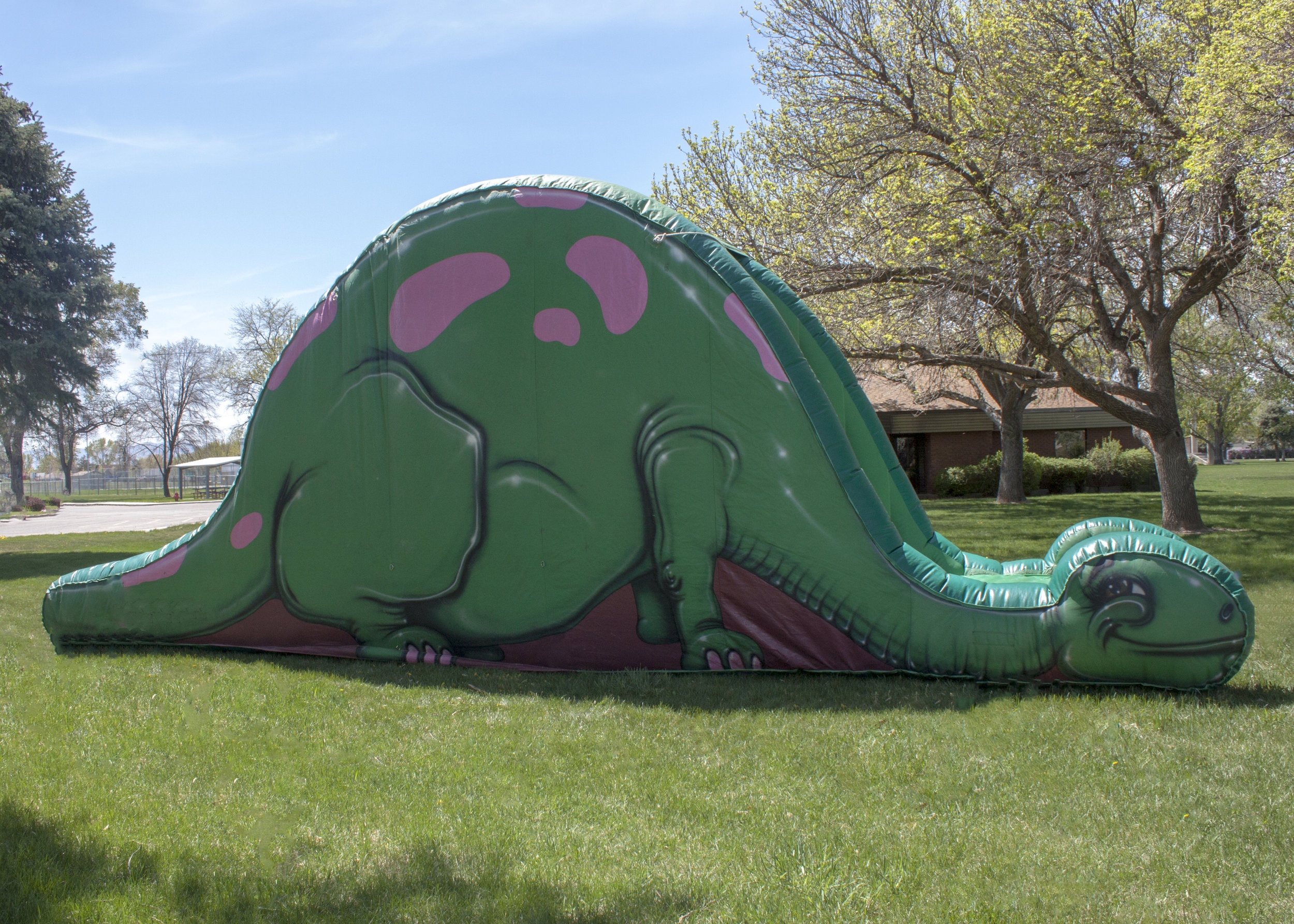 Dinosaur Slide — Party Times Party Planners