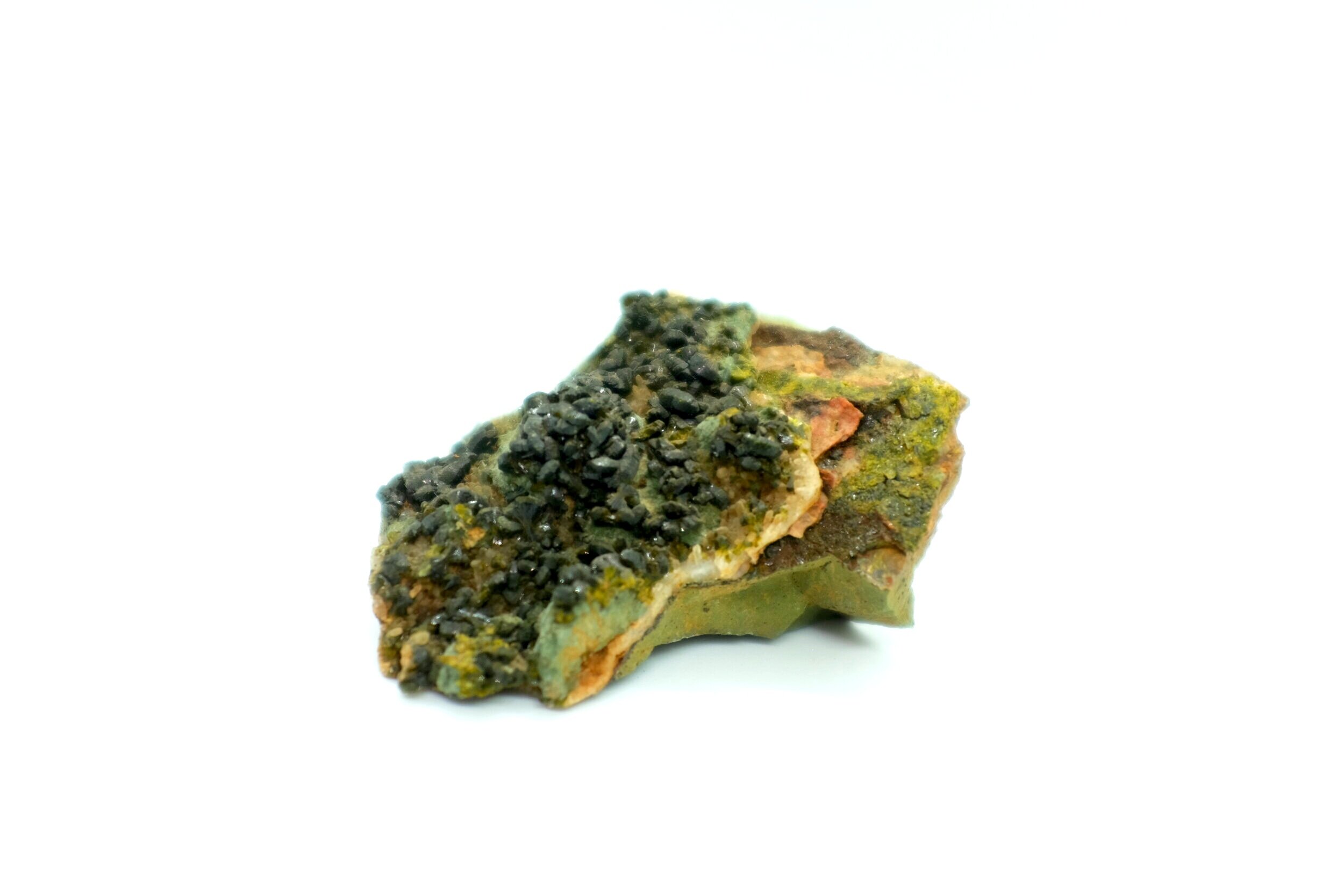DSCF4789.jpg