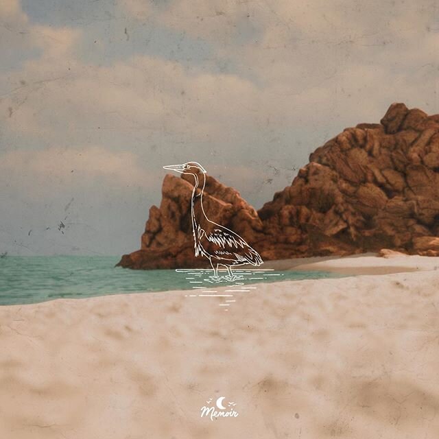 Got a calm ambient track coming out with @memoir.music @chillhopmusic on Wednesday, probably my favorite track I made for my Async Ross project so far and extremely excited to have this out in the world! Super grateful to @memoir.music for all their 
