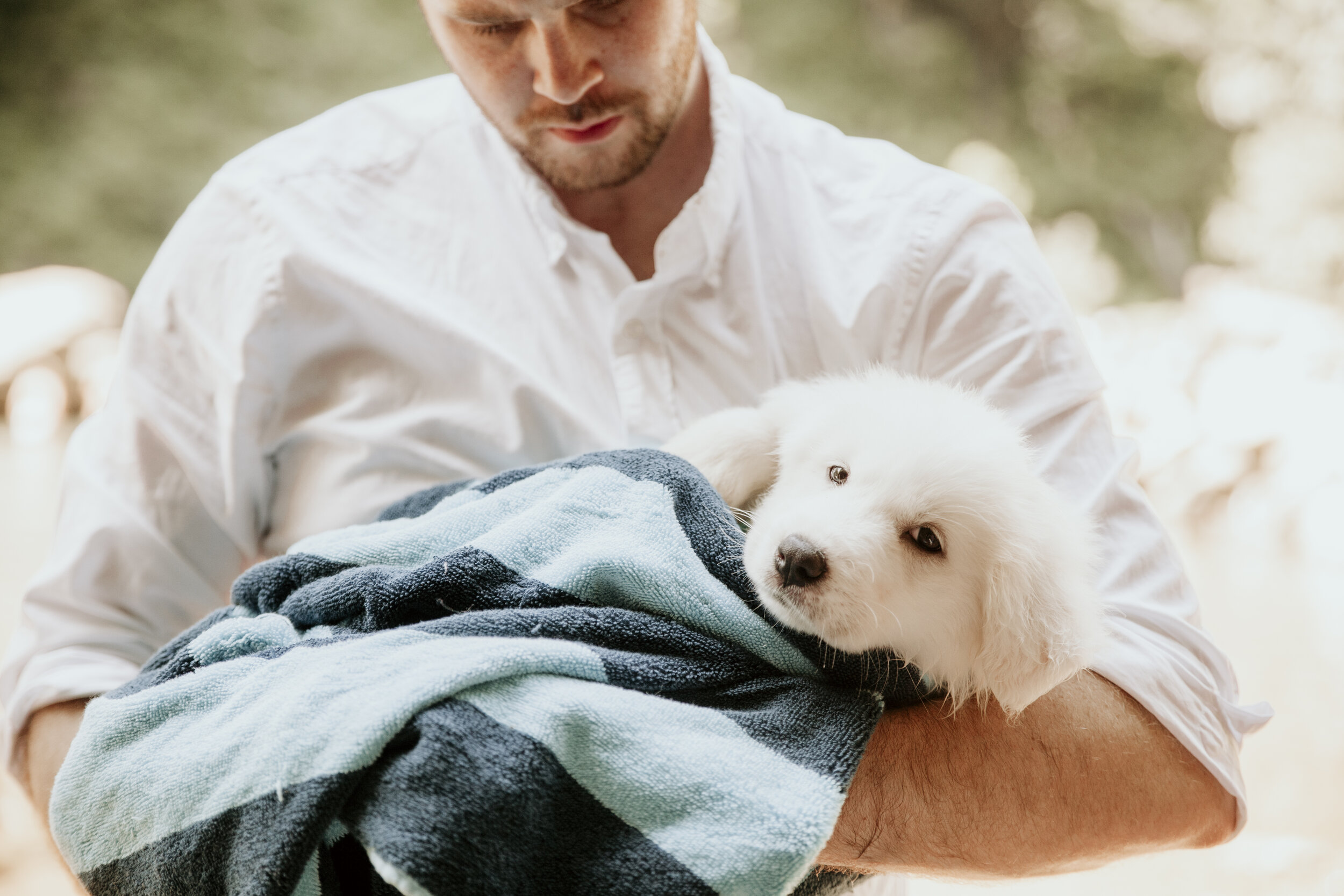 Willow stays in a warm towel