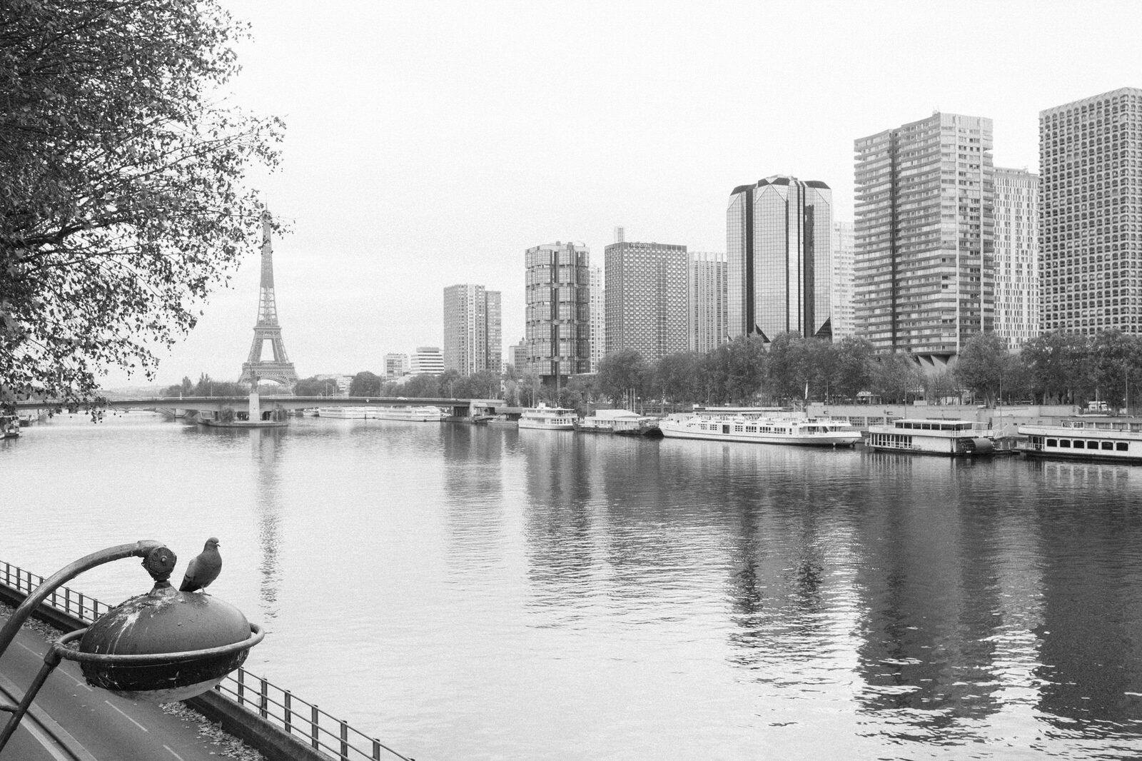 20201113-51.jpg