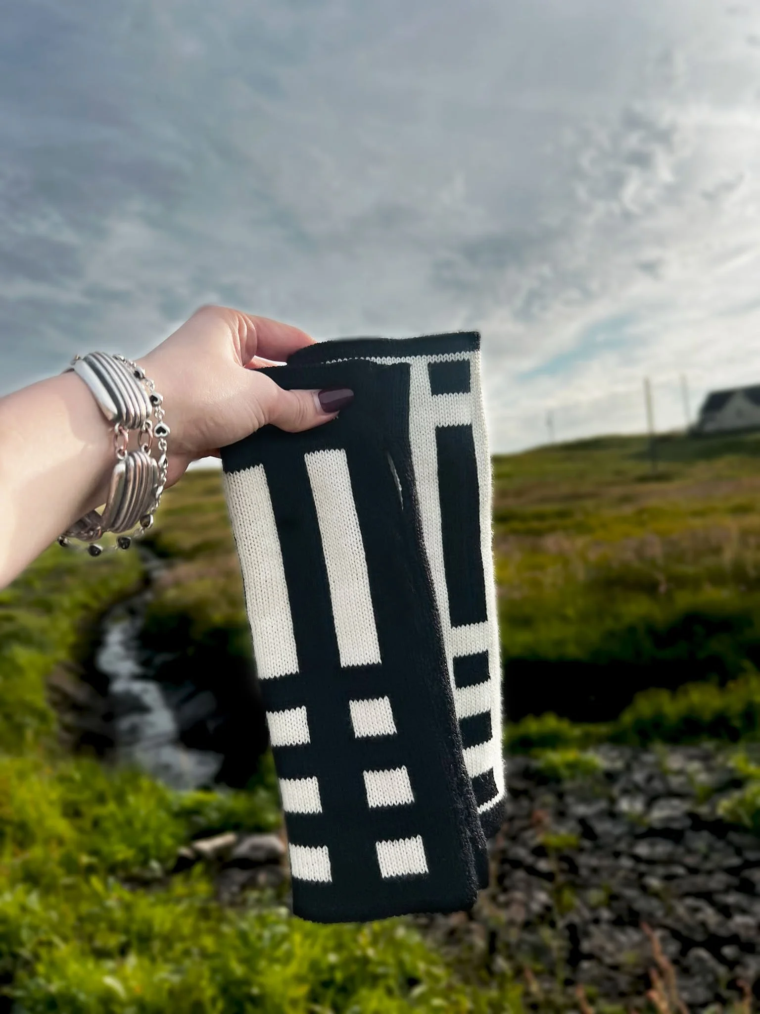 Eriskay WWclose up2.jpg