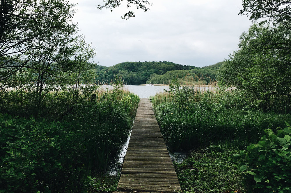 Schermützelsee_01.jpg