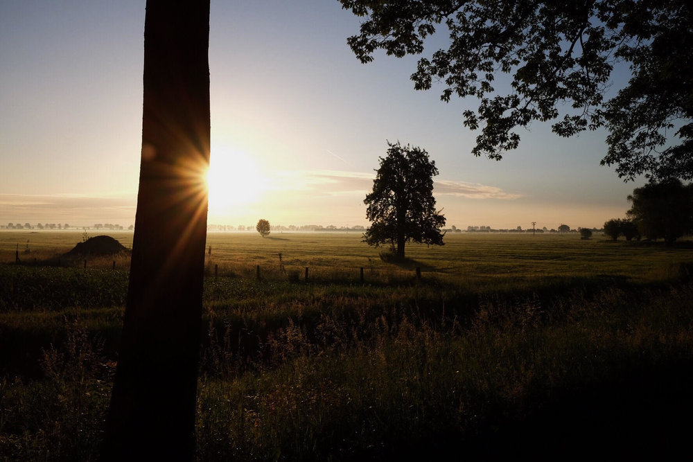 Elbdeich_Sonnenaufgang.jpg