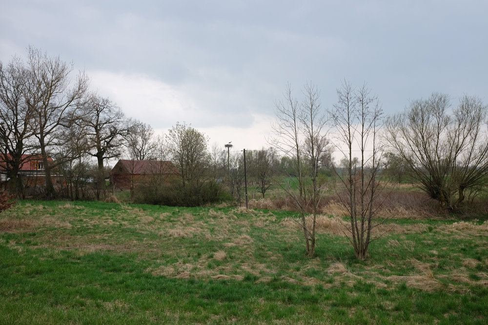 Oder_Neisse_Radweg_21.jpg