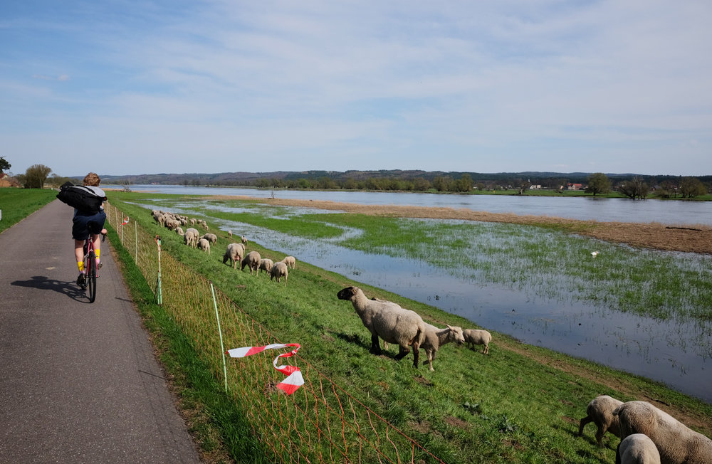 Oder_Neisse_Radweg_24.jpg