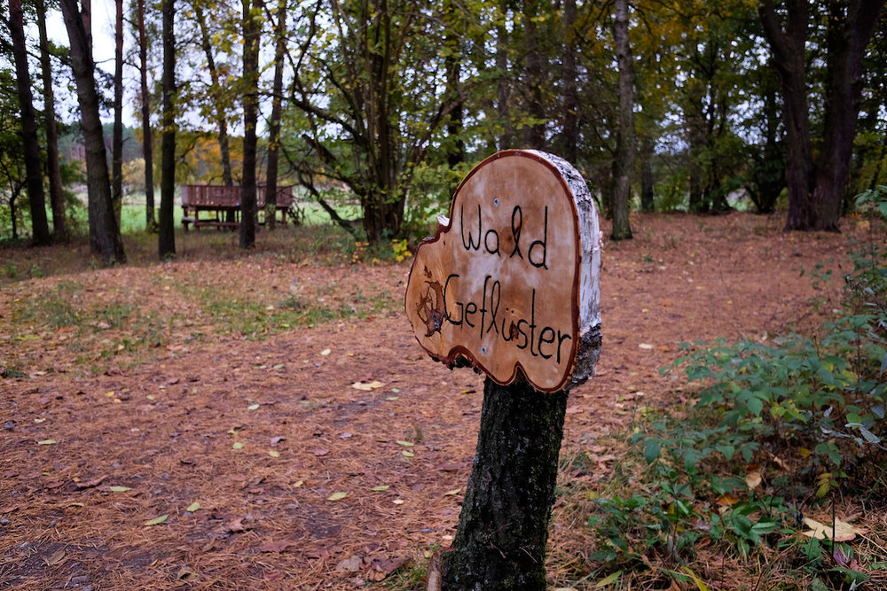 wecyclebrandenburg_baumhaushotel_uckermark1.JPG