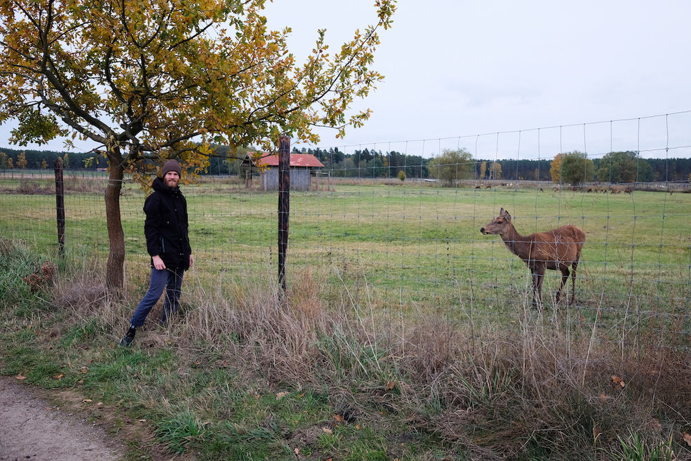 wecyclebrandenburg_baumhaushotel_uckermark12.JPG