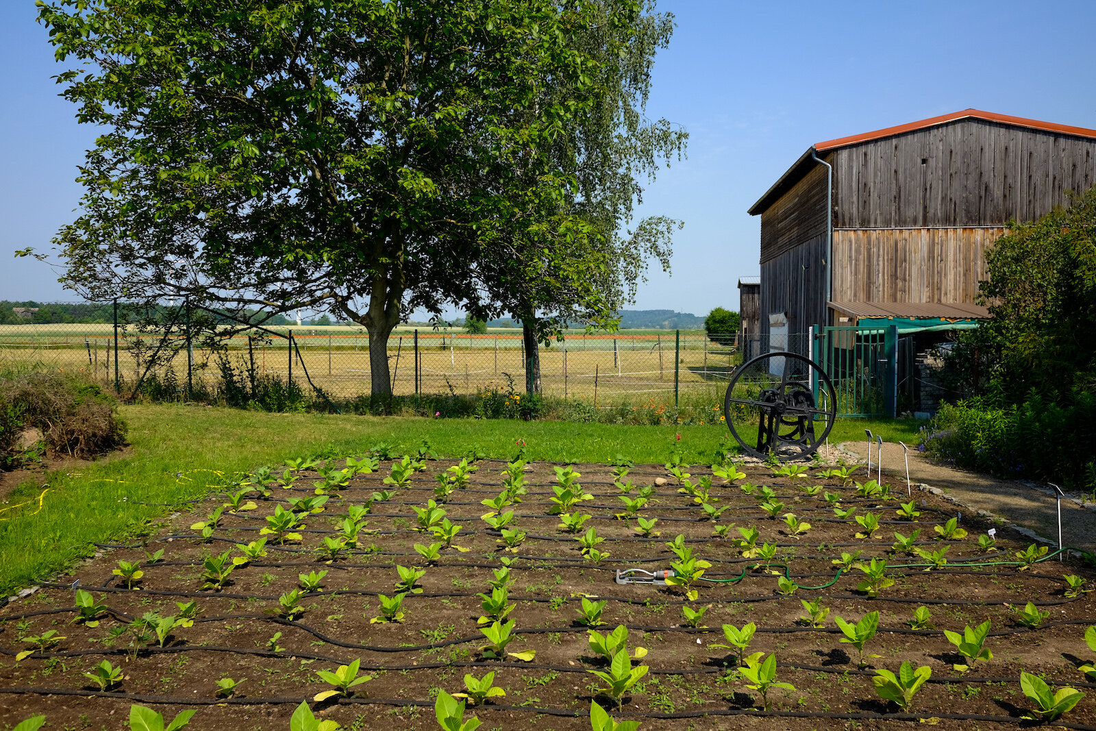 wecyclebrandenburg_19_Vierraden_Tabakmuseum_Garten2.jpg