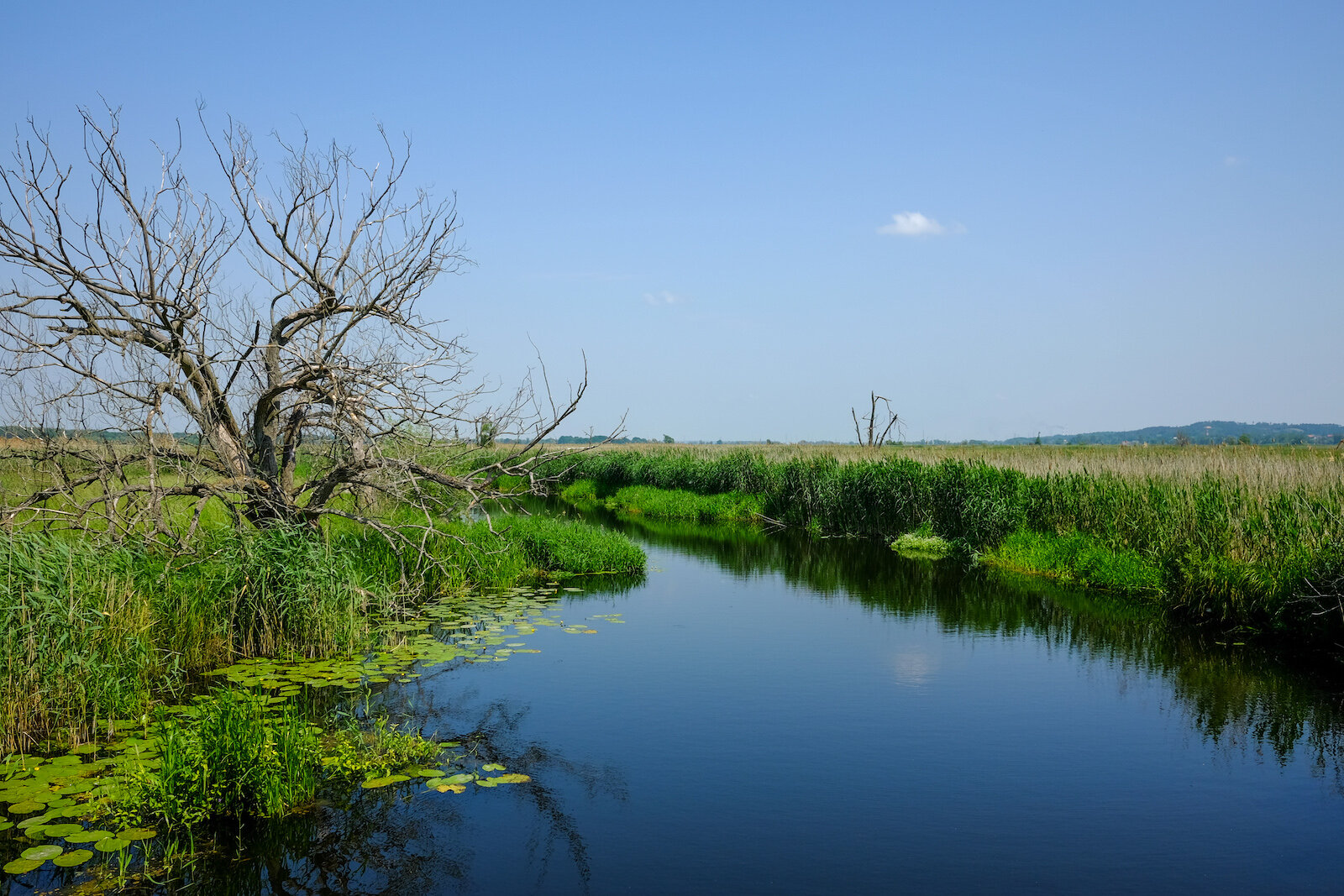 wecyclebrandenburg_38_NationalparkUnteresOdertal5..jpg