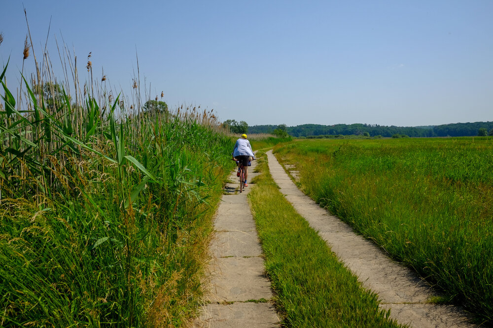 wecyclebrandenburg_40_NationalparkUnteresOdertal.jpg