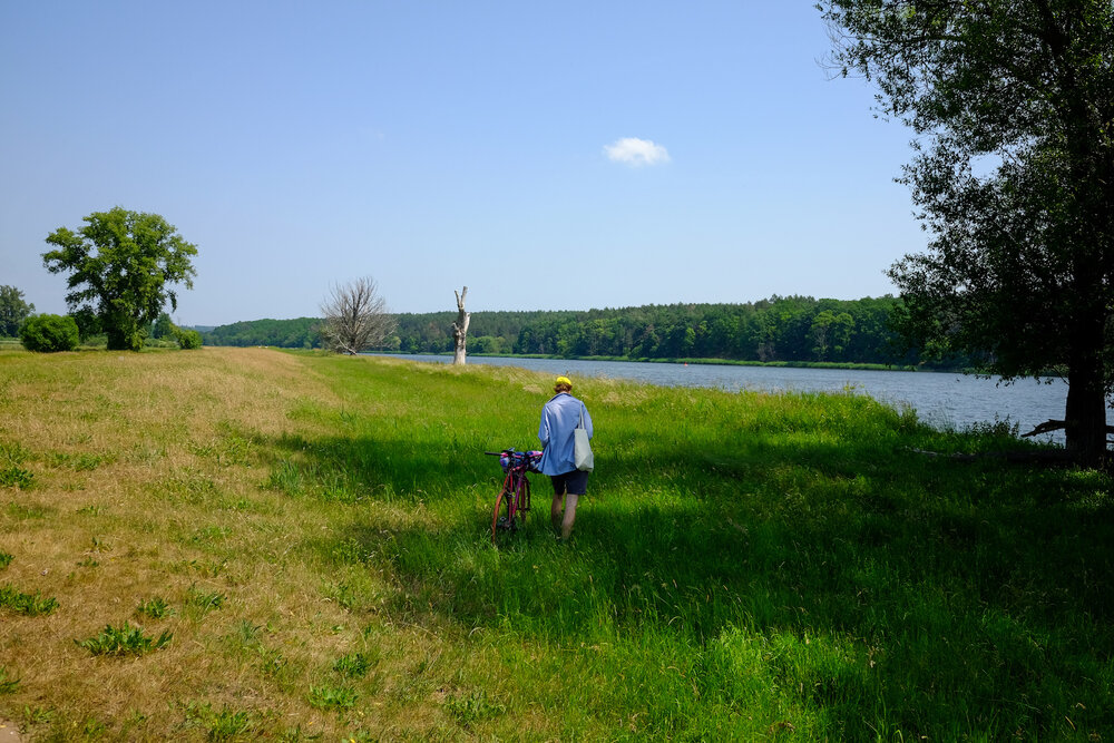 wecyclebrandenburg_44_NationalparkUnteresOdertal_Oder.jpg