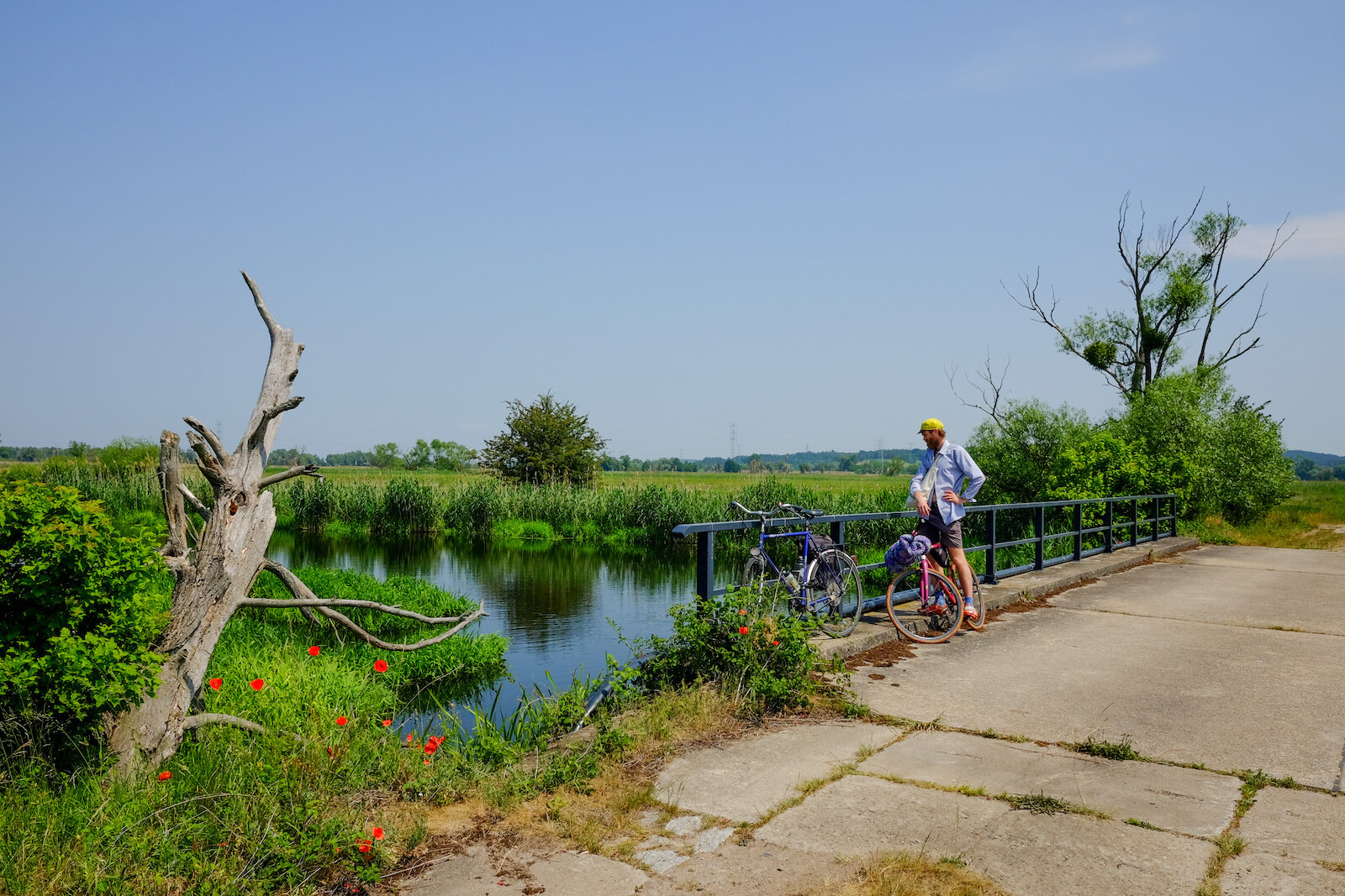 wecyclebrandenburg_50_NationalparkUnteresOdertal.jpg