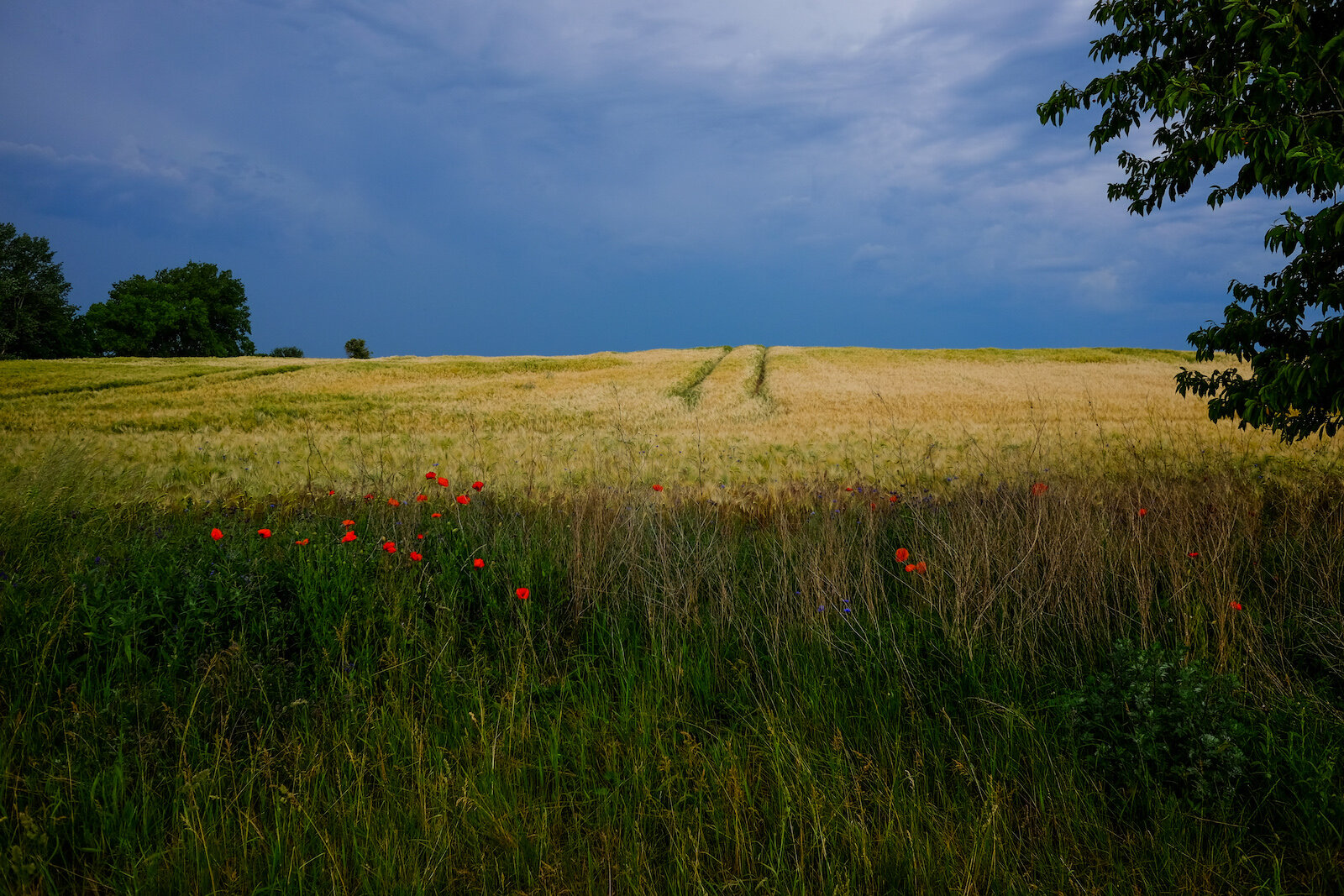 wecyclebrandenburg_69_Gartz_Landschaft.jpg