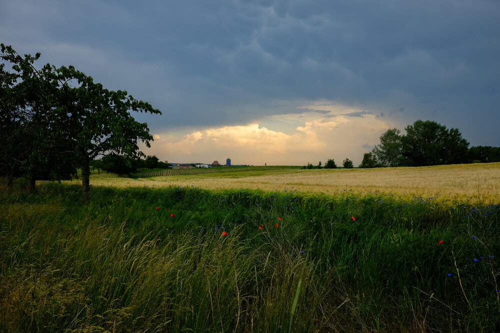 wecyclebrandenburg_70_Gartz_Landschaft.jpg