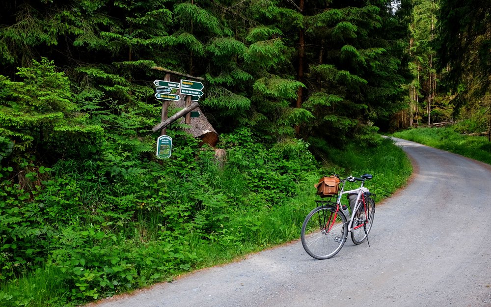 @wecyclebrandenburg_Panoramaweg_SaechsischeSchweiz12.jpg