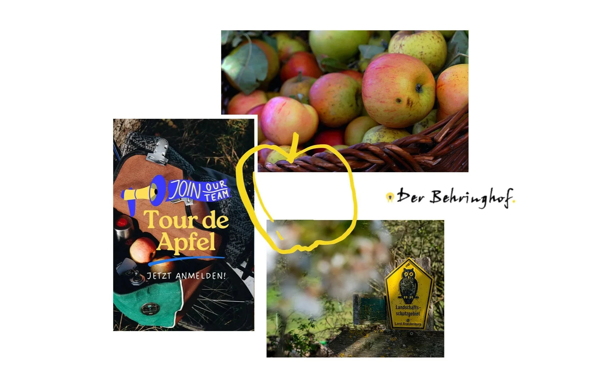 Tour de Apfel - Als Erntehelfer auf den Behringhof (Leider ausgebucht!)