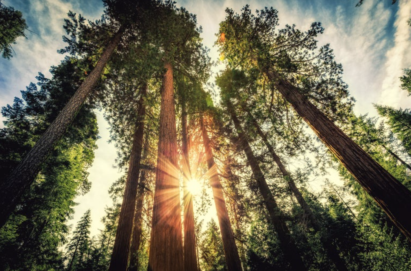 Don’t Forget to Live!! 