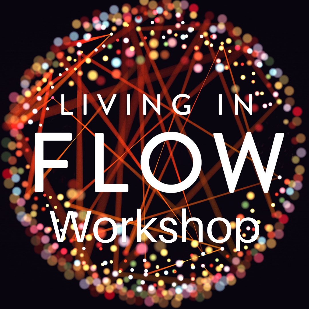 Wholeness, Synchronicity, and Flow workshop