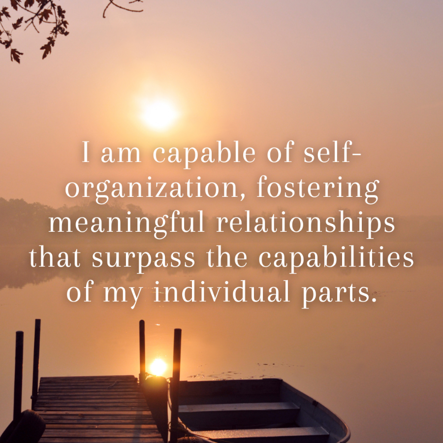 Allowing your path to Self-Organize