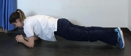new plank 1.jpg