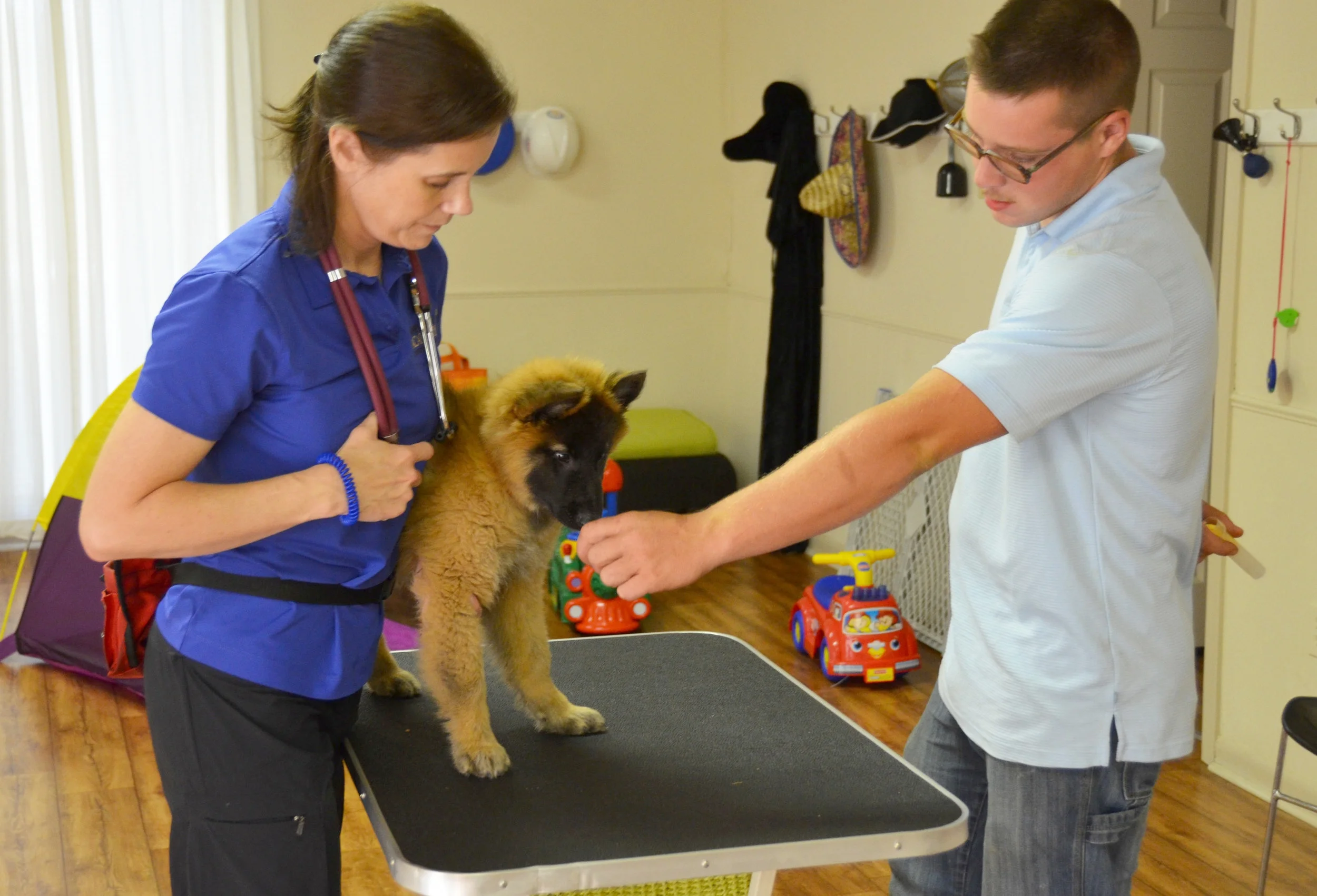 International seminars for veterinarians, vet techs, vet hospitals.