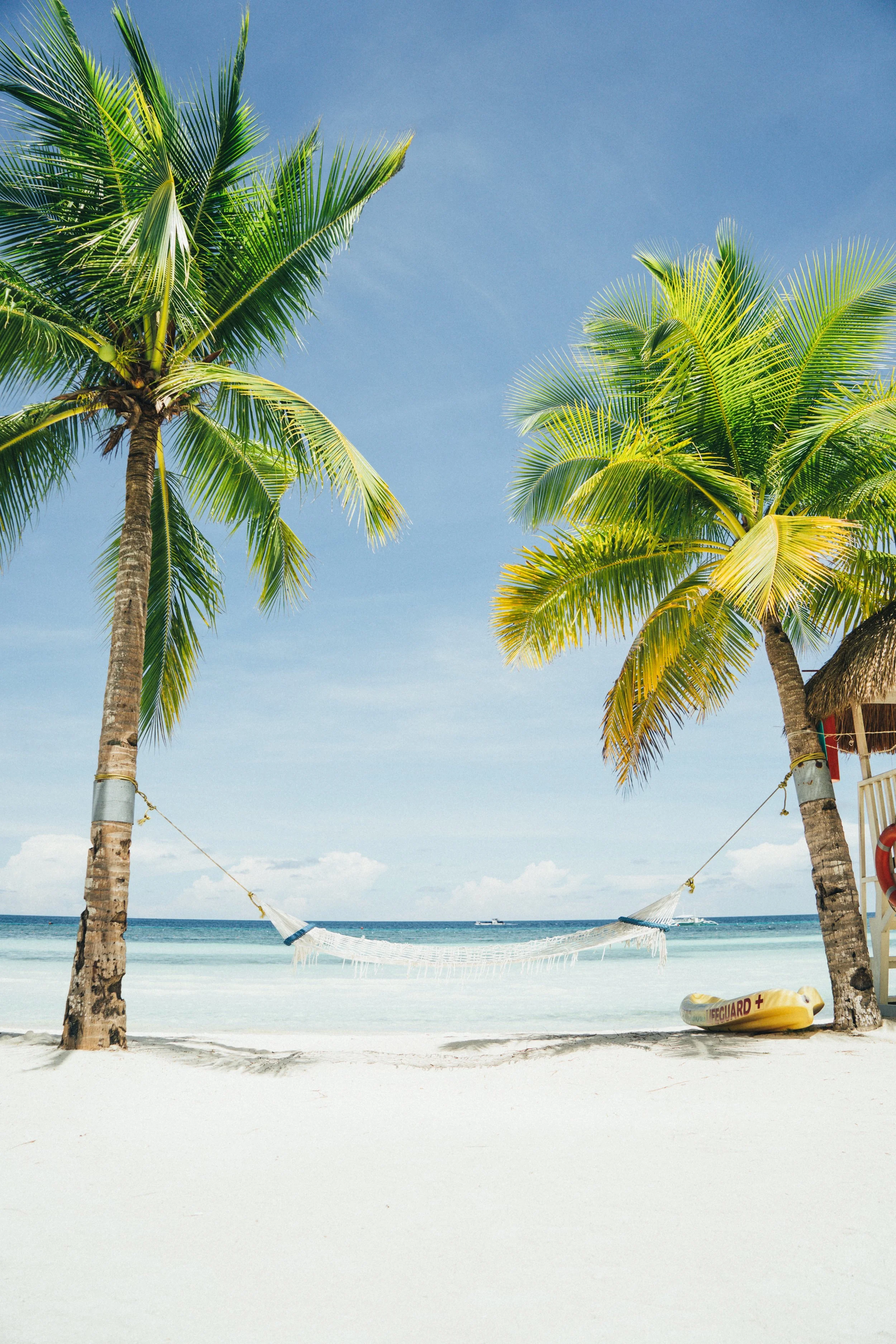 Dreamy Photo by  James Connolly  on  Unsplash