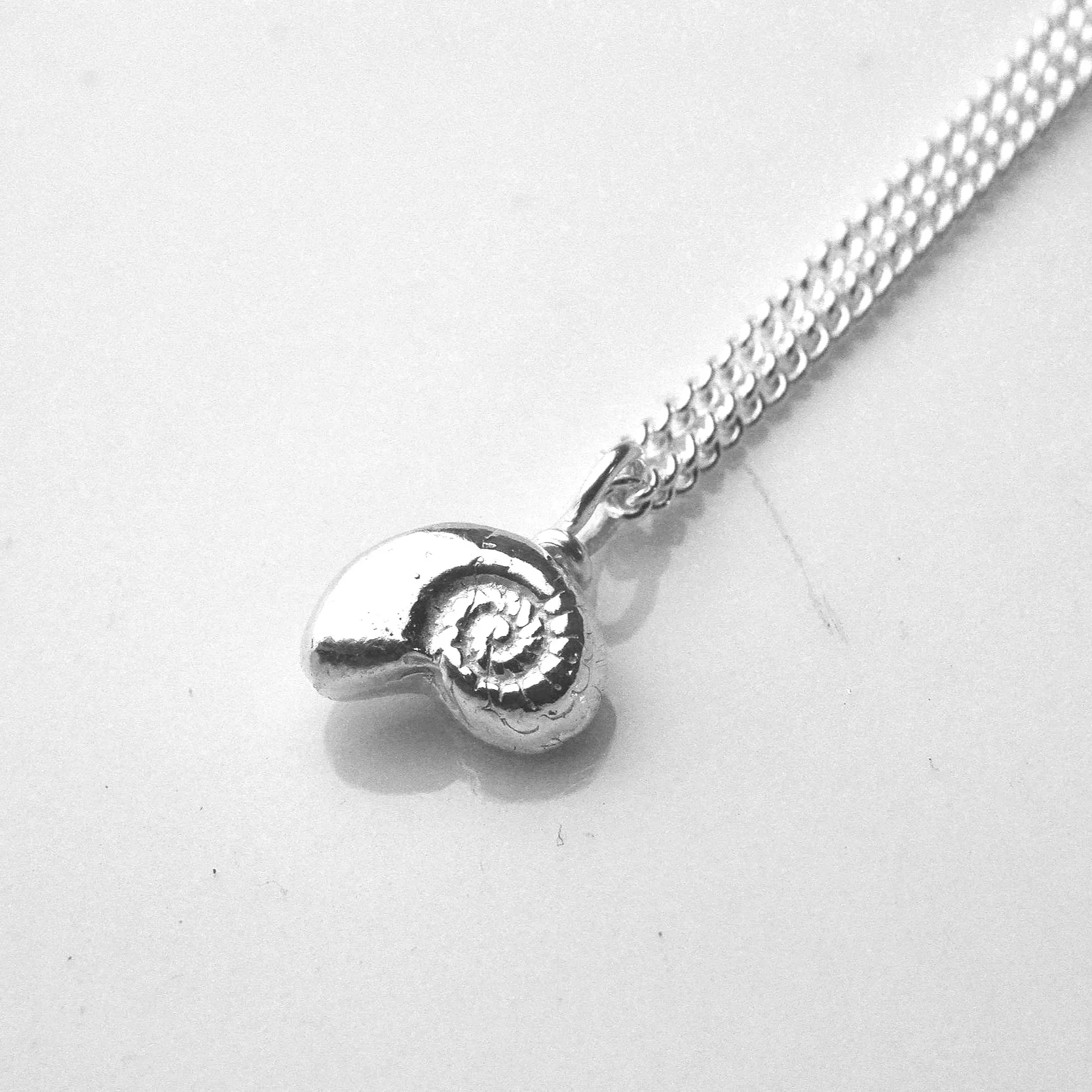 ammonite pendant