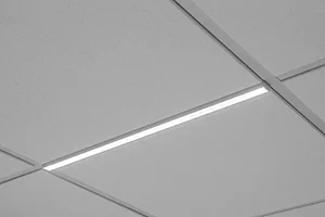 B&Wdiffusinglens.jpg