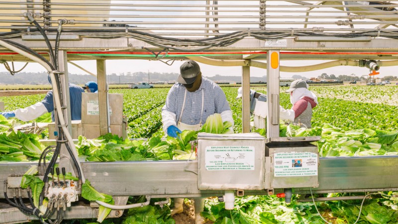 Top 10: last week’s most popular retail technology articles