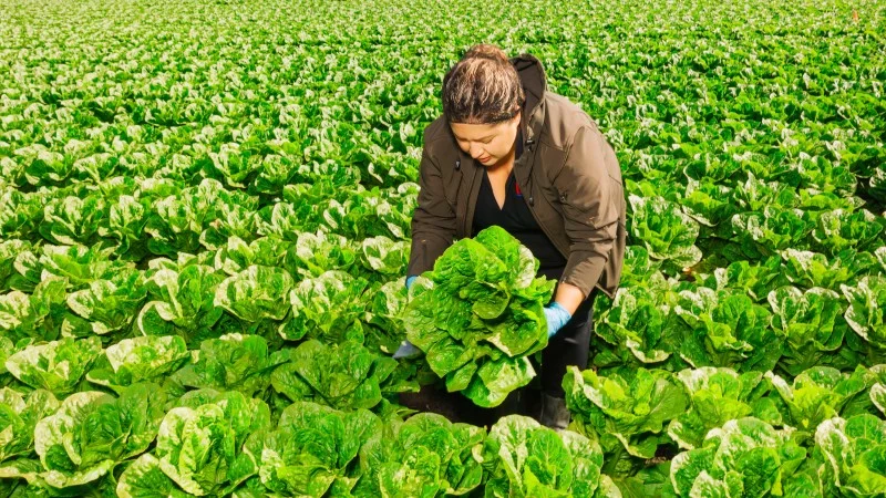 February: top 10 most clicked retail tech articles