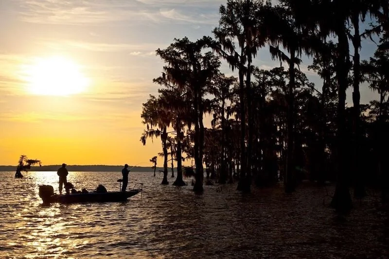 The retail technology week in numbers