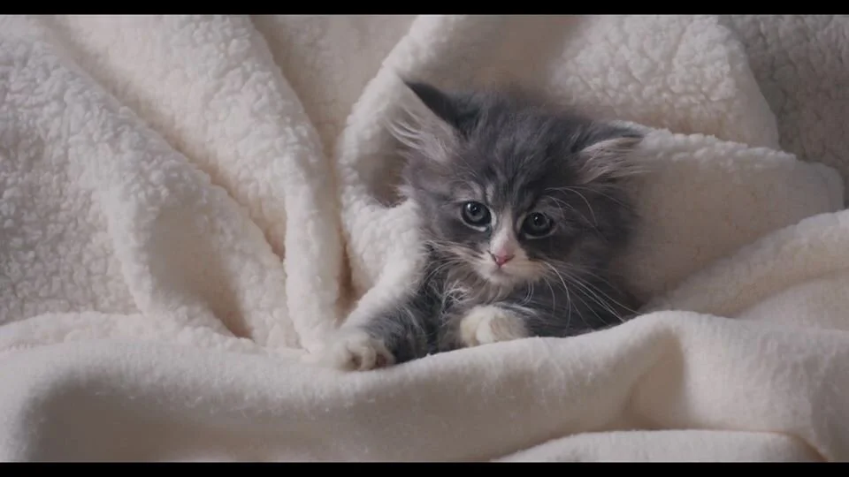 Last week’s biggest retail technology plays