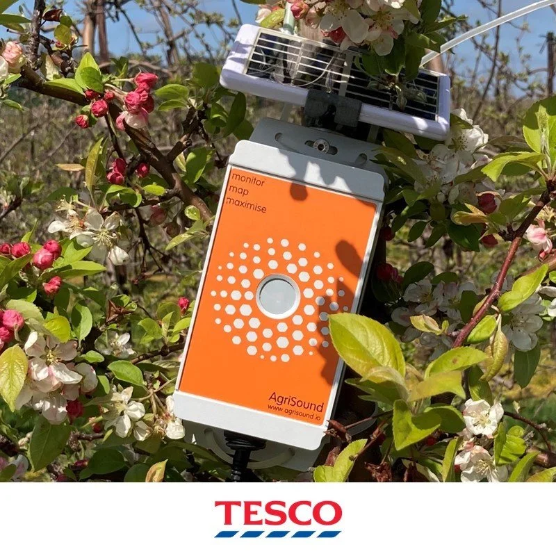 Tesco deploys AgriSound Polly common pollinating insects monitoring device in fruit supply chain