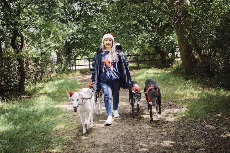 Pets at Home research: millions of Brits to spend more on furry friends than family at Christmas