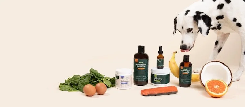 Jamie Wilson departs Tails.com to join Wuffes as pet firm's new Chief Financial Officer