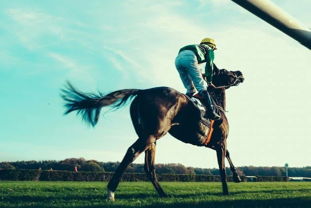 Risa Victoria Racing Victoria Racing Club secures major deals ahead of Melbourne Spring ...